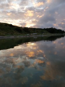 En terapeuts rejse er mit eget møde med det biodynamiske i Kranio-Sakral Terapien, som var dybt frustrende! Nedenstående er et indlæg jeg skrev til KST foreningens medlemsblad, juni 2012. Nysgerrig? Kontakt terapeut, Lis Hauge, 40199714