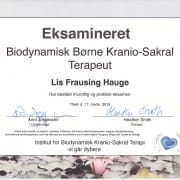 BKST børne eksamen 2